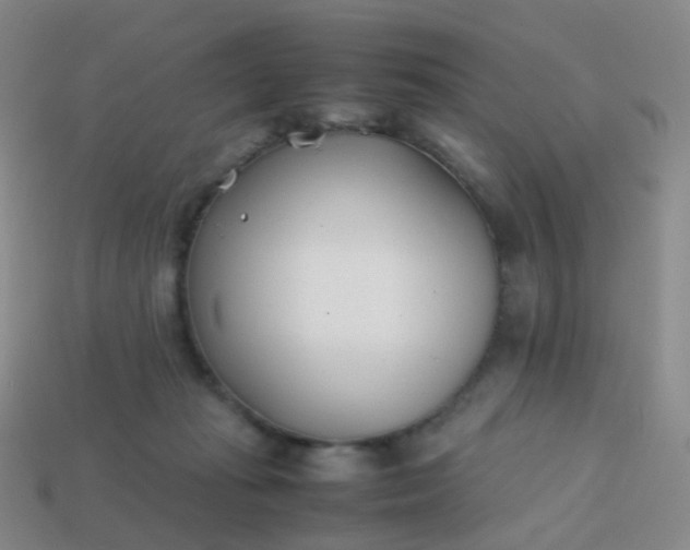 X0000113870269200910081733