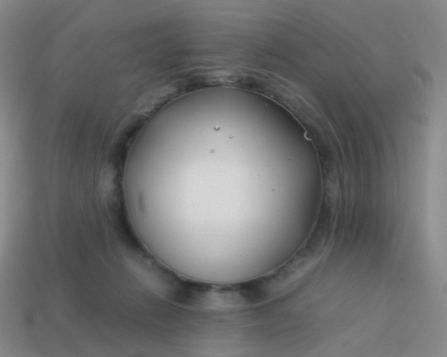 X0000113870270200910081733