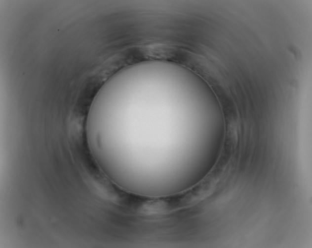 X0000113870271200910081733