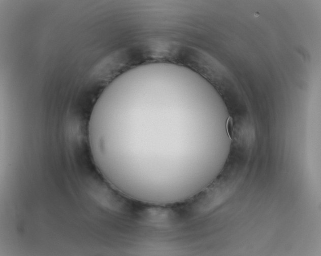 X0000113870272200910081733