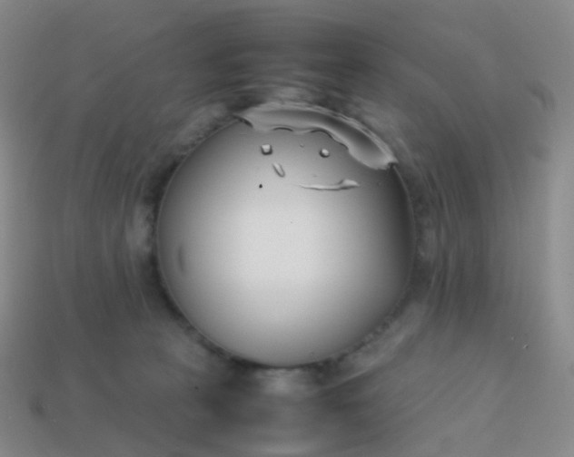 X0000113870273200910081733