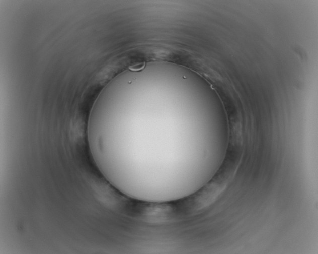 X0000113870274200910081733