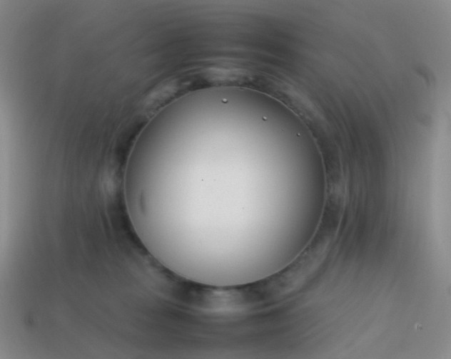 X0000113870277200910081733