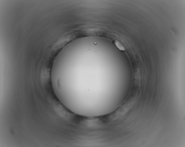 X0000113870278200910081733