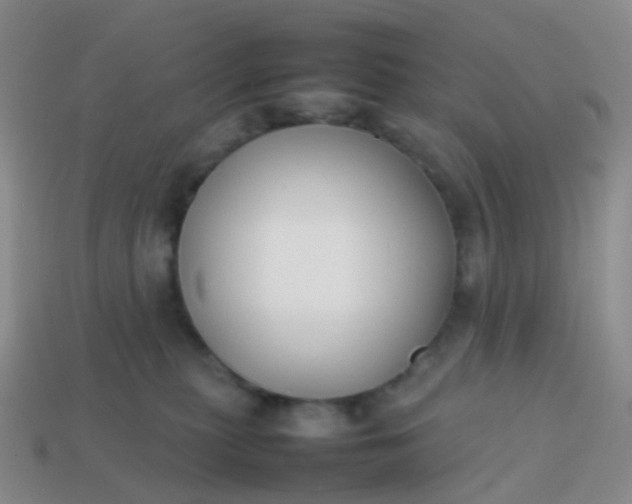 X0000113870279200910081733