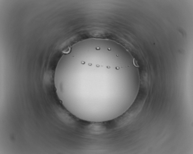 X0000113870280200910081733