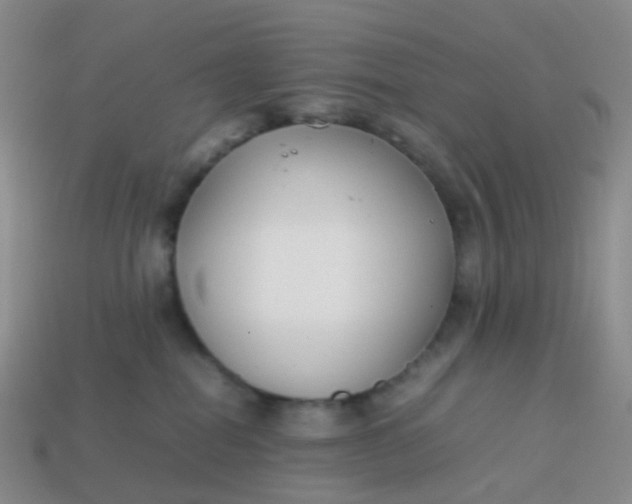 X0000113870282200910081733