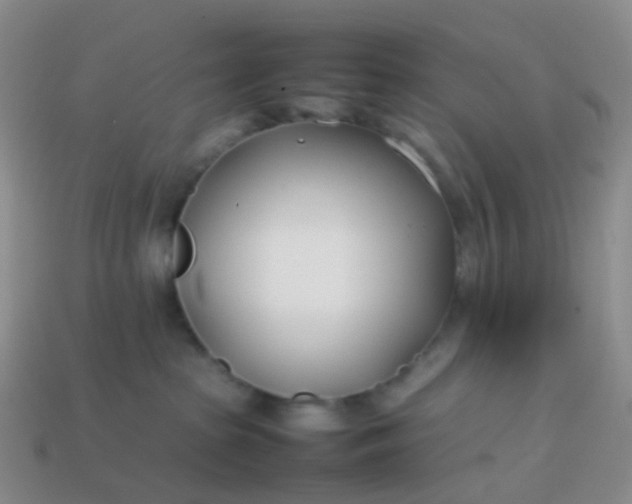 X0000113870285200910081733