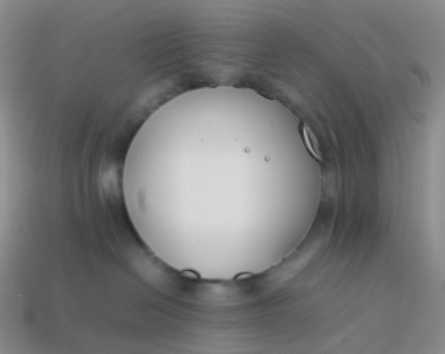 X0000113870286200910081733