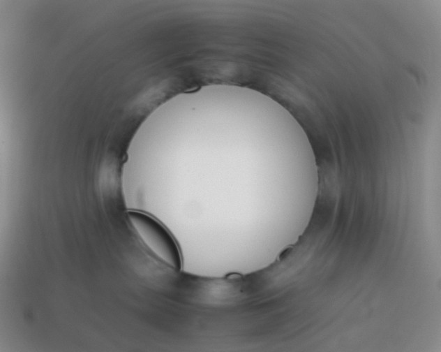 X0000113870287200910081733