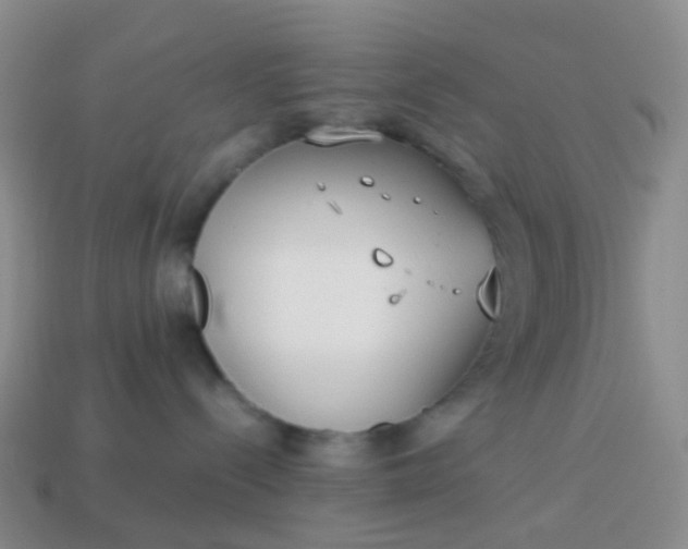 X0000113870288200910081733