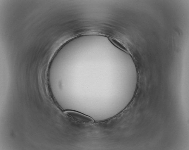 X0000113870289200910081732