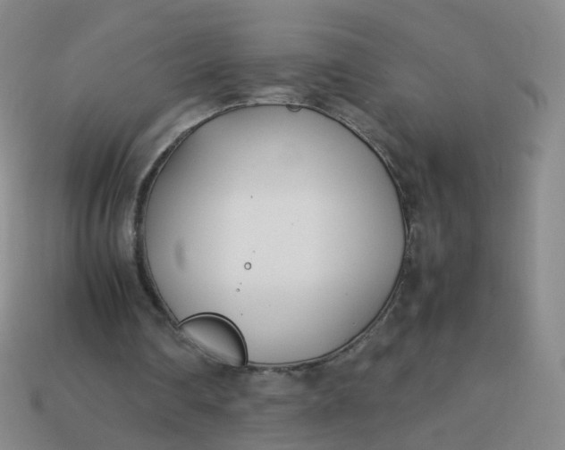 X0000113870290200910081732