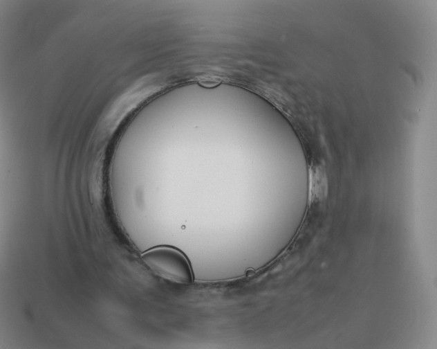 X0000113870291200910081732