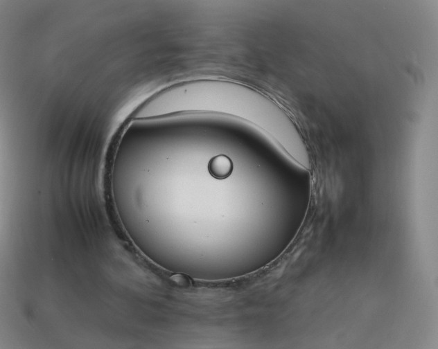 X0000113870292200910081732