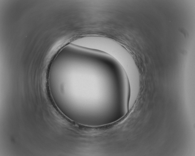 X0000113870293200910081732