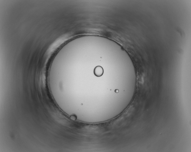 X0000113870294200910081732