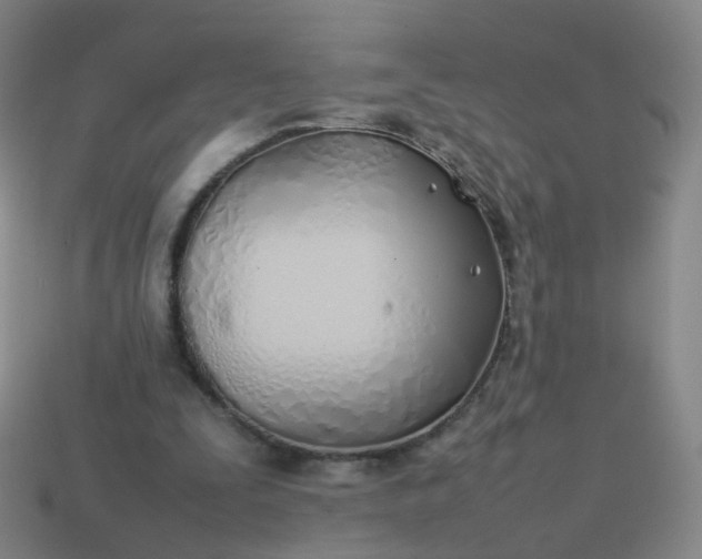 X0000113870295200910081732