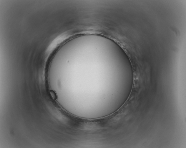 X0000113870296200910081732