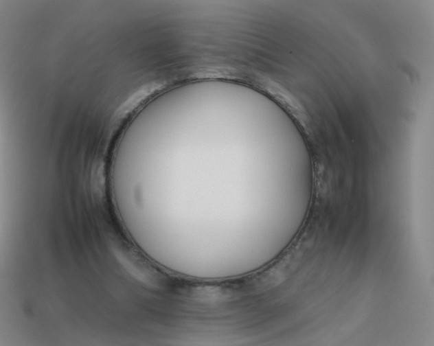 X0000113870298200910081732