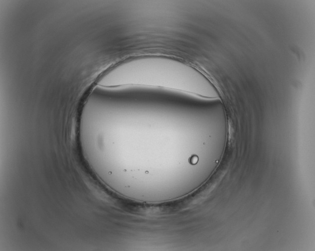 X0000113870301200910081732