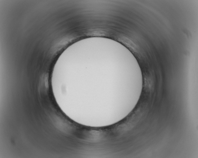 X0000113870302200910081732