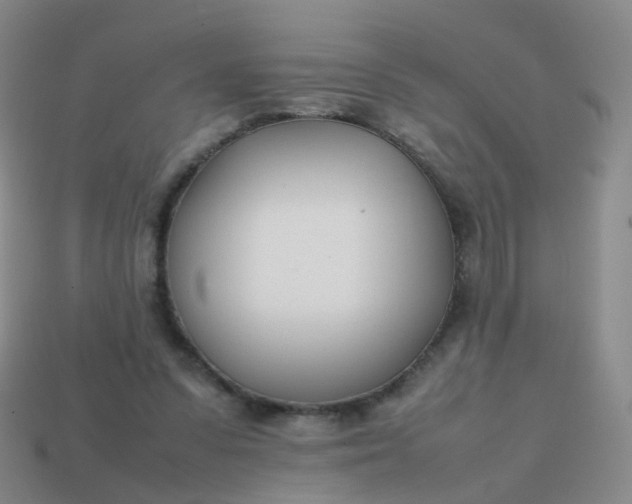 X0000113870303200910081732