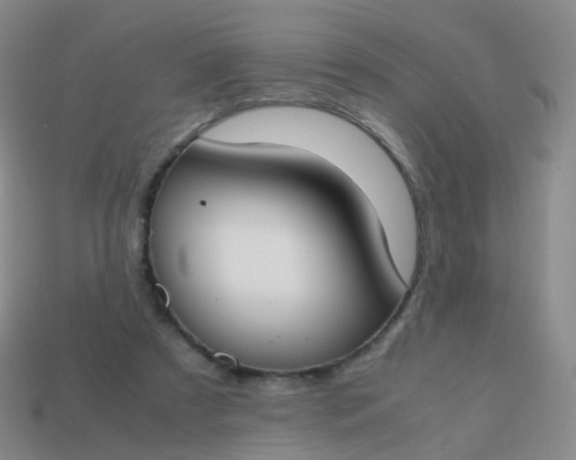 X0000113870305200910081732