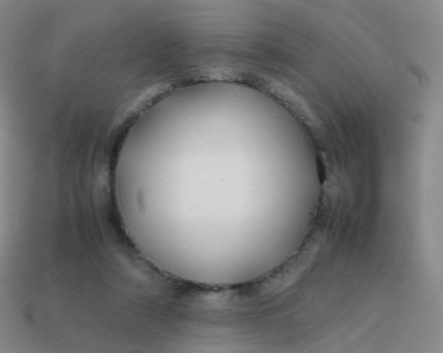 X0000113870306200910081732