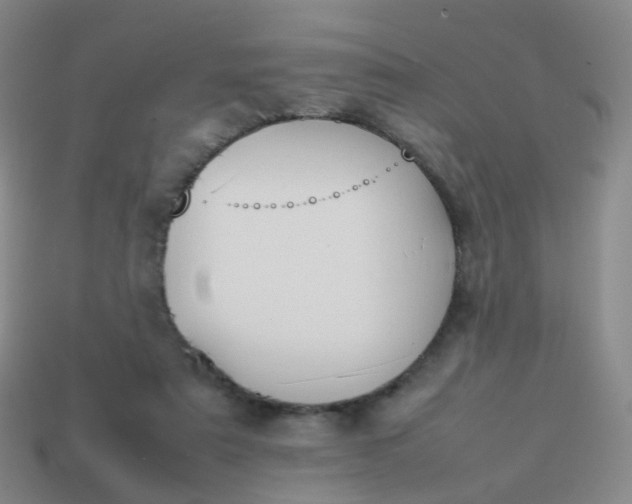 X0000113870307200910081732