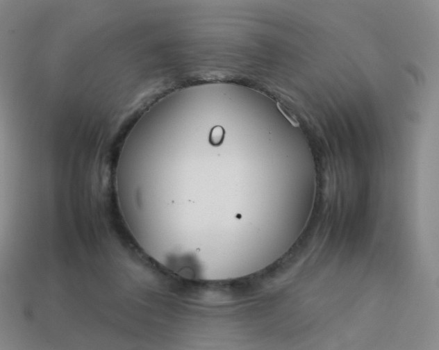 X0000113870308200910081732