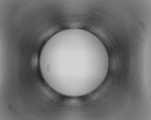 X0000113870310200910081732