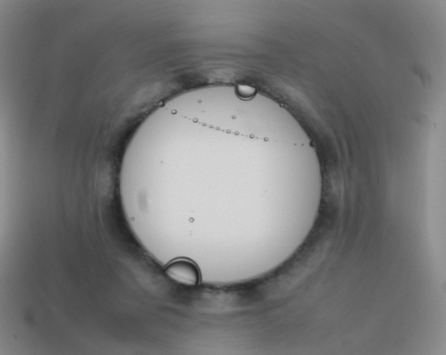 X0000113870311200910081732