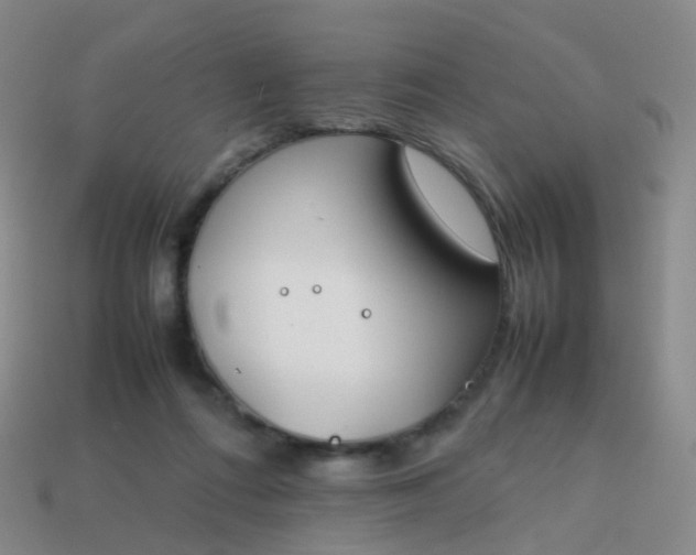 X0000113870312200910081732