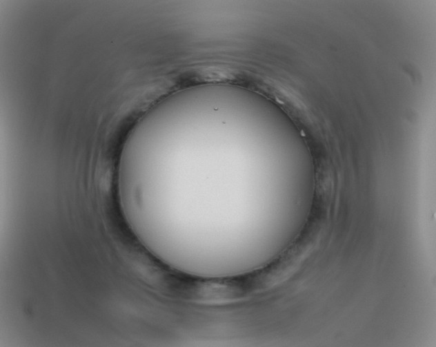 X0000113870315200910081732