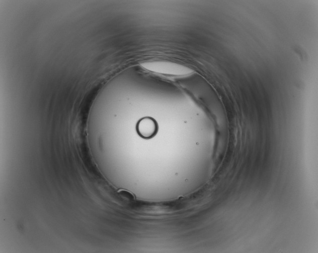 X0000113870316200910081732