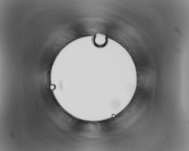 X0000113870317200910081732