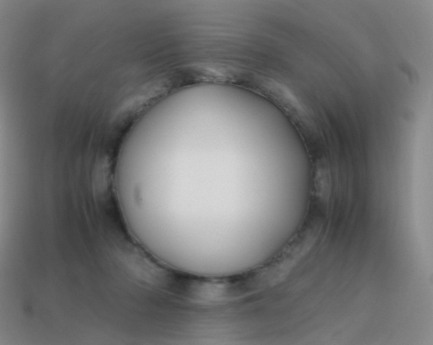 X0000113870318200910081732