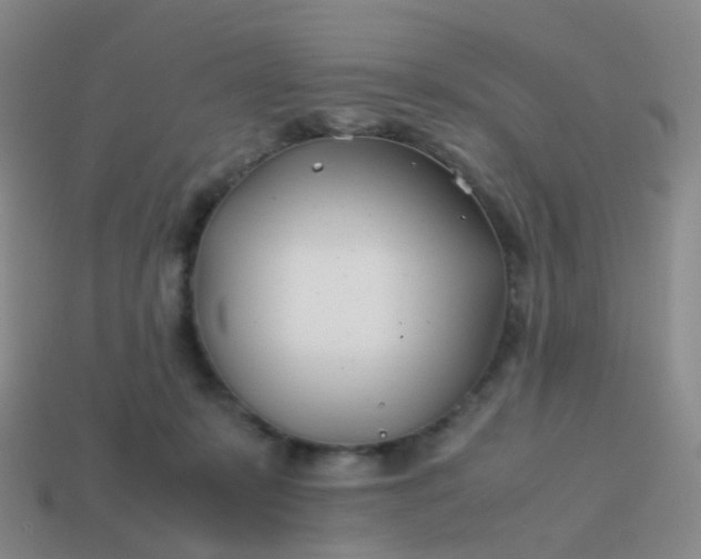 X0000113870319200910081732