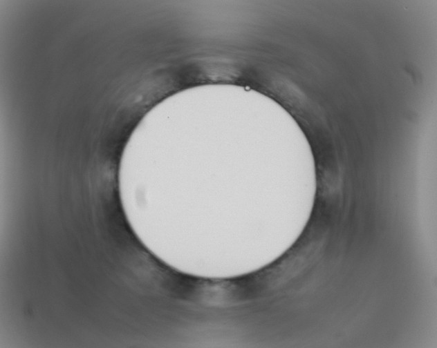 X0000113870321200910081732