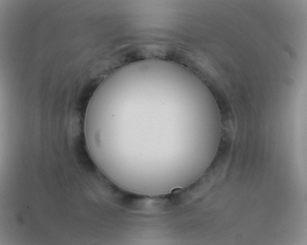 X0000113870323200910081732