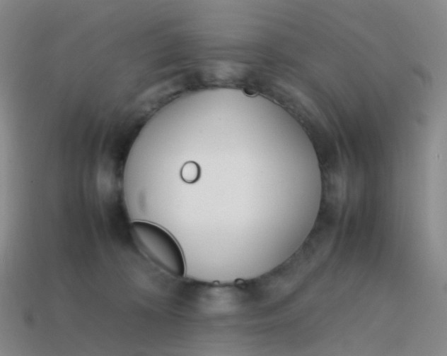 X0000113870324200910081732