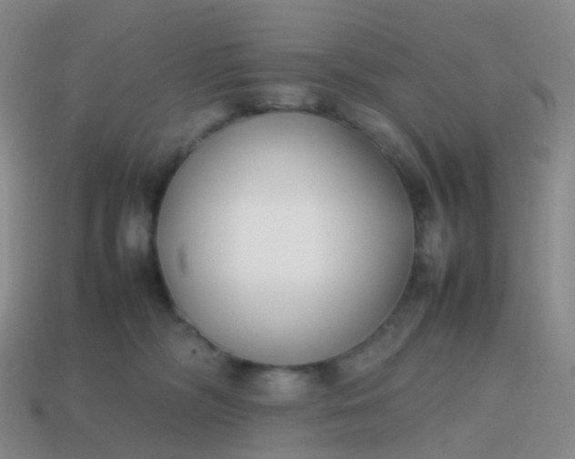 X0000113870326200910081732