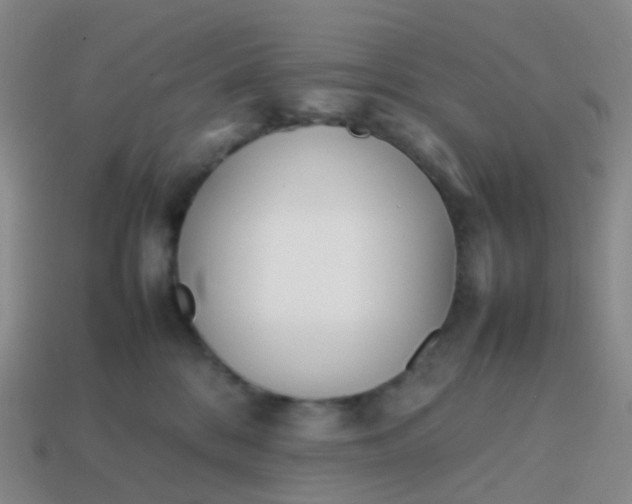 X0000113870328200910081732