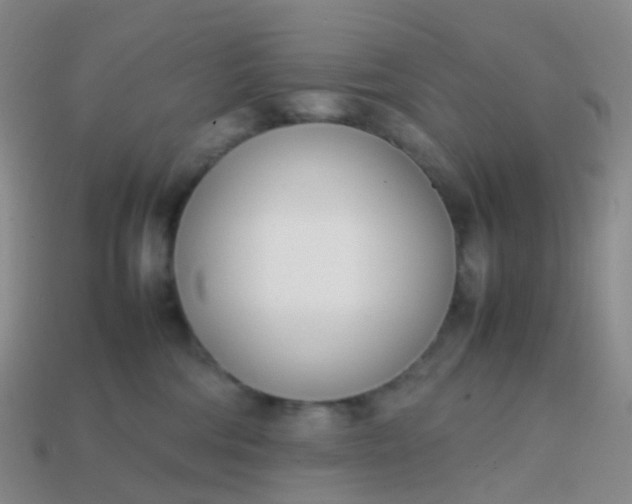 X0000113870330200910081732