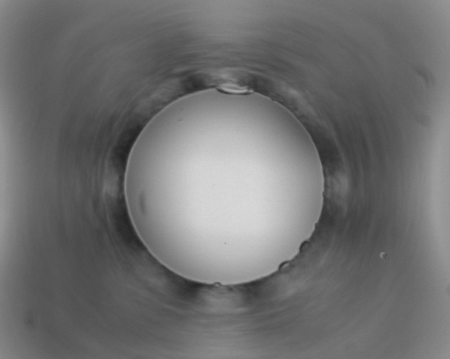 X0000113870331200910081732