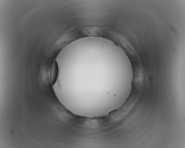 X0000113870332200910081732