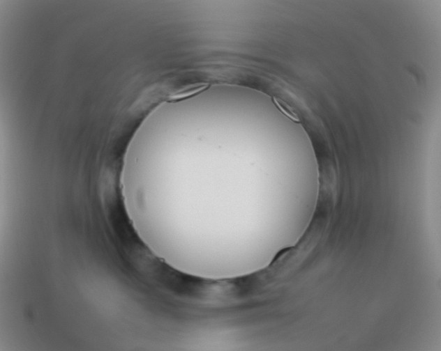 X0000113870333200910081732