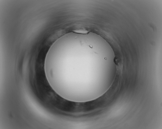 X0000113870335200910081732