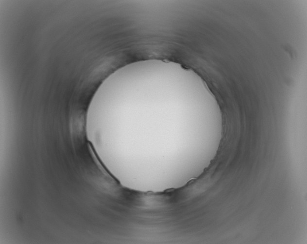 X0000113870336200910081732